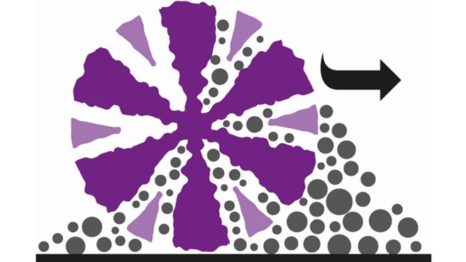 Mikrofiberillustration