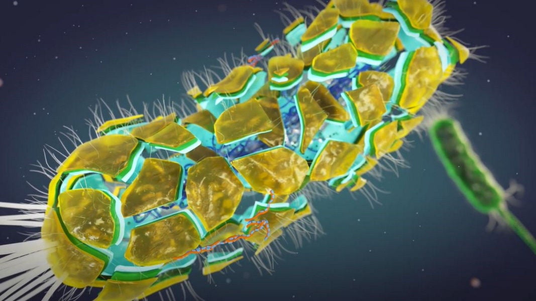 Hantera biofilm med Prontosan
