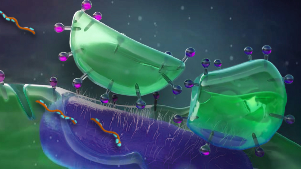 Färgglad vetenskaplig illustration som visar biofilmsceller​